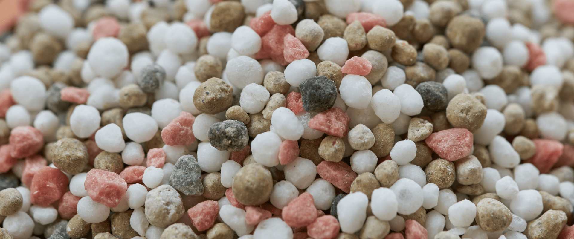 NPK Orgânico vs. Mineral: Escolhendo o Melhor para Sua Horta - inspiração 2