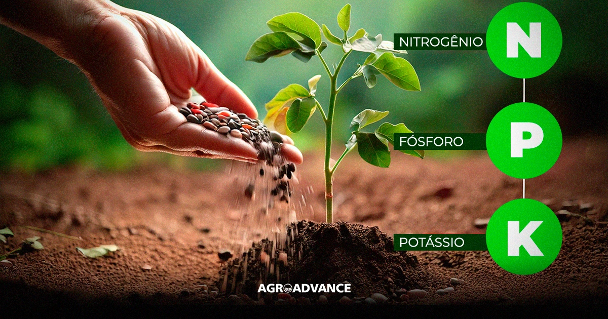 A Dança dos Nutrientes: O Papel de Cada Letra no NPK - inspiração 2