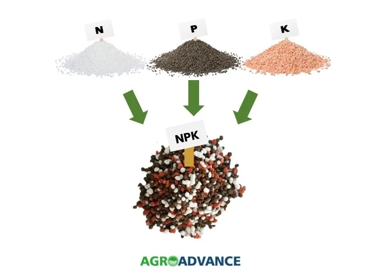 Sinais de Deficiência Nutricional nos Citros: O Que Observar? - inspiração 2