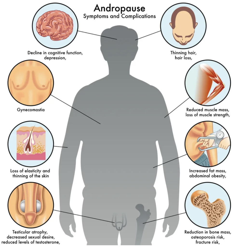Dificuldades de Concentração e Memória - inspiração 2