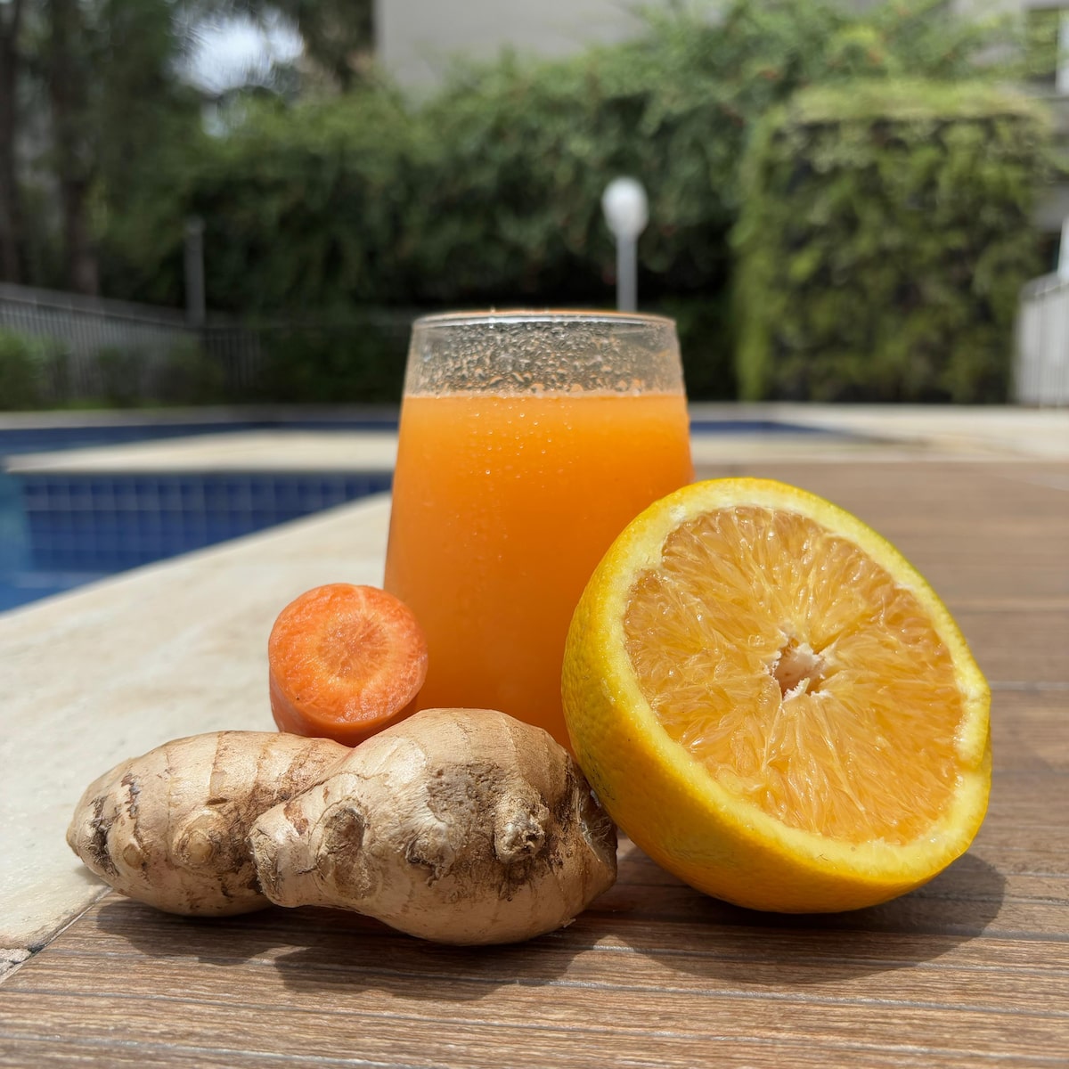 Descubra outras frutas ricas em antioxidantes - inspiração 1