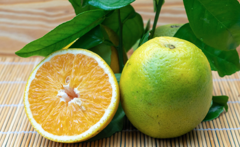 Antioxidantes e a Saúde do Coração - inspiração 1