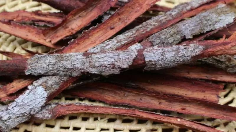 Aroeira: Poderosa Contra Inflamações e Infecções, Mas Use com Moderação - inspiração 1