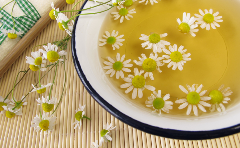 Malva: Alívio Gentil para a Irritação e Desconforto - inspiração 1