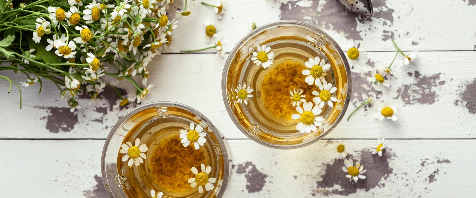 Folhas de Eucalipto: Ação Antisséptica para Limpeza Profunda - inspiração 2