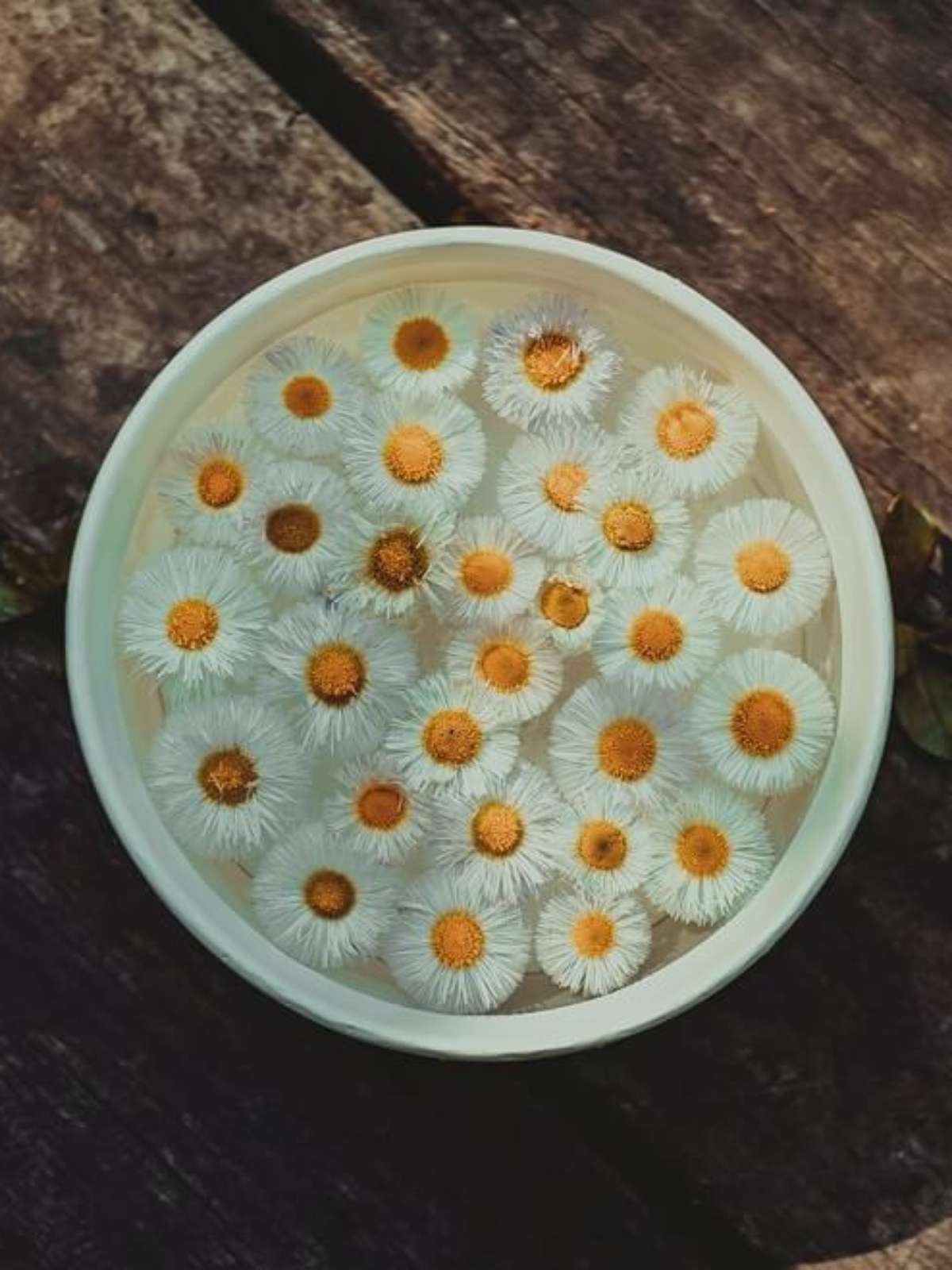 A Temperatura Certa: Nem Frio, Nem Quente Demais, o Conforto é Essencial - inspiração 2