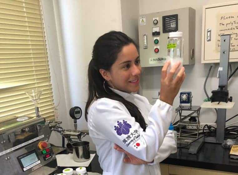 Tipos de Bolsas MEXT: Encontre a ideal para você - inspiração 2