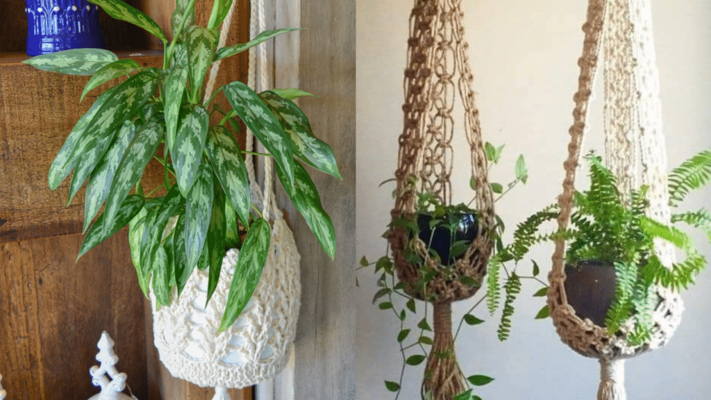 Inspiração Infinita: Combinando Cachepôs com Outros Elementos Decorativos - inspiração 2