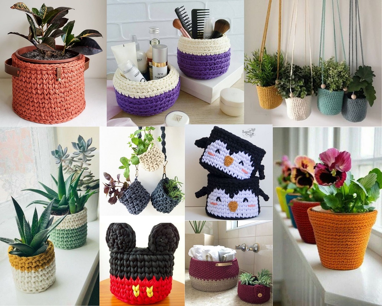 Versatilidade na Decoração: Onde Posicionar Seu Cachepô - inspiração 2