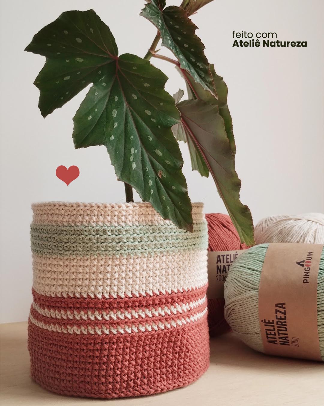 Escolhendo o Tamanho Certo: A Proporção Ideal para Cada Planta - inspiração 1