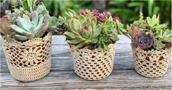 Cuidados Essenciais: Mantendo Seu Cachepô Sempre Bonito - inspiração 2