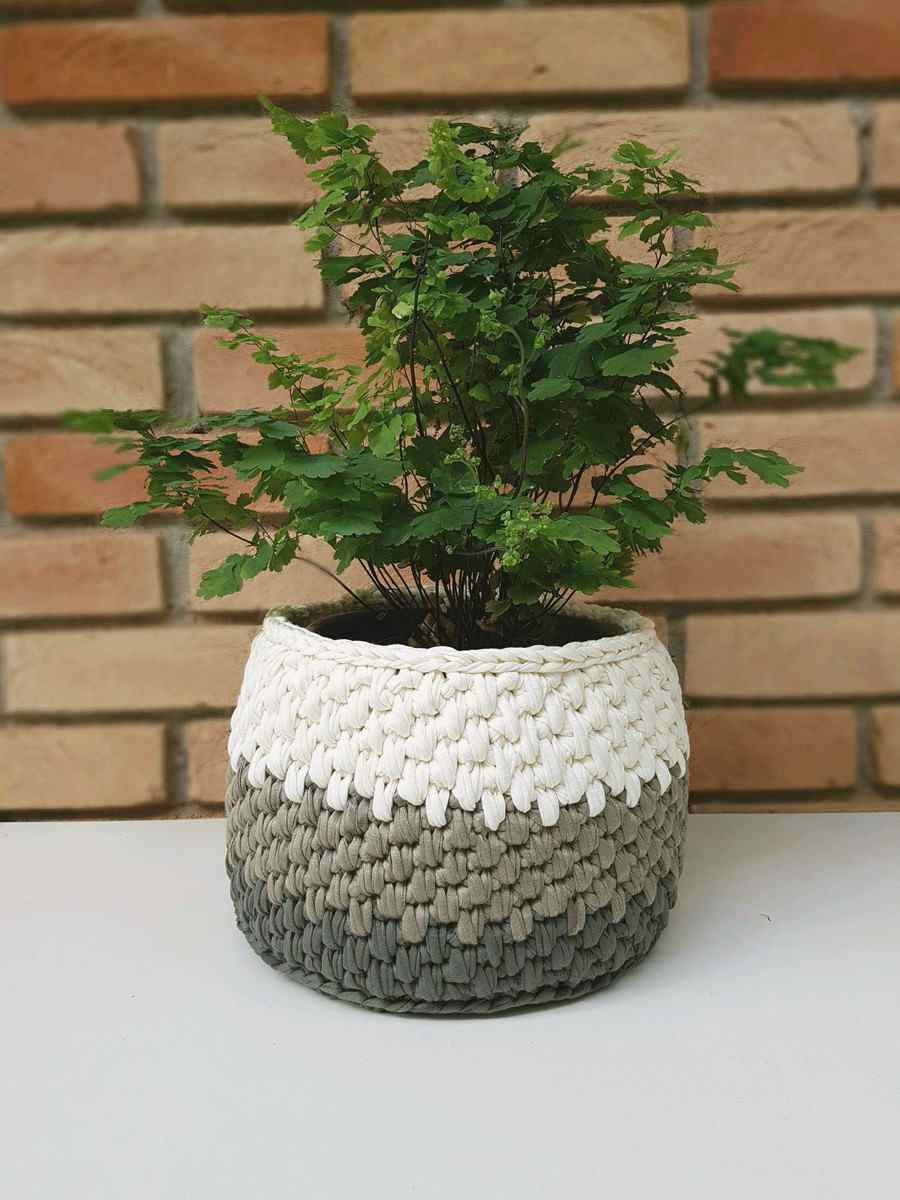 Proteção Extra: Dicas para Evitar umidade e Manchas - inspiração 2