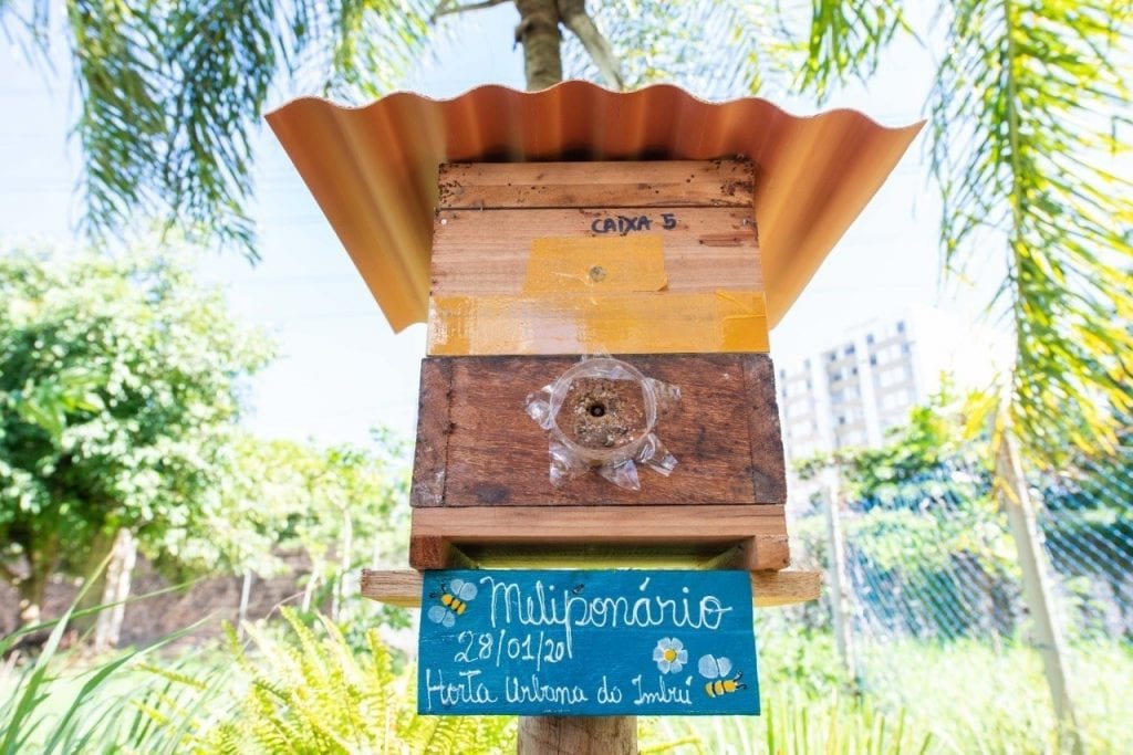 Abrigo Seguro: Criando um Lar Convidativo - inspiração 1