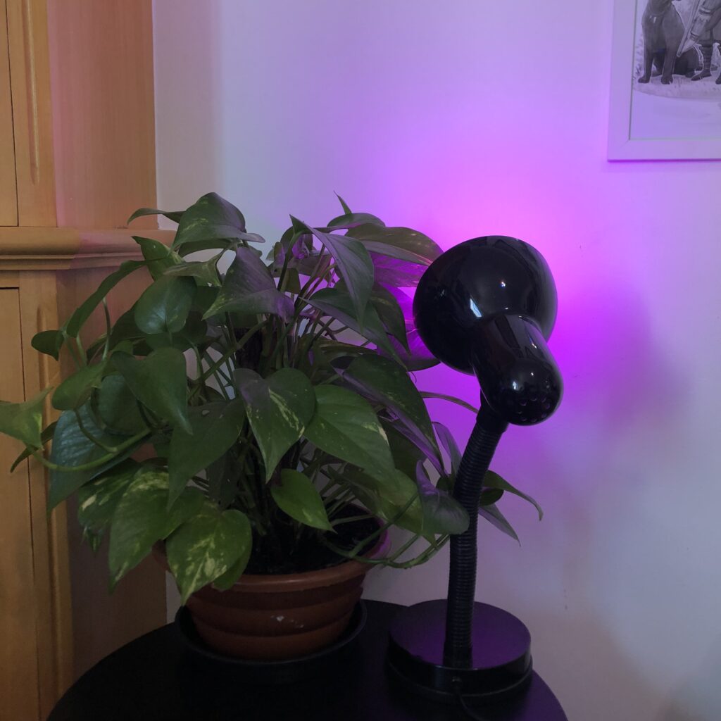 Soluções para Problemas Comuns: Dicas Rápidas - inspiração 2