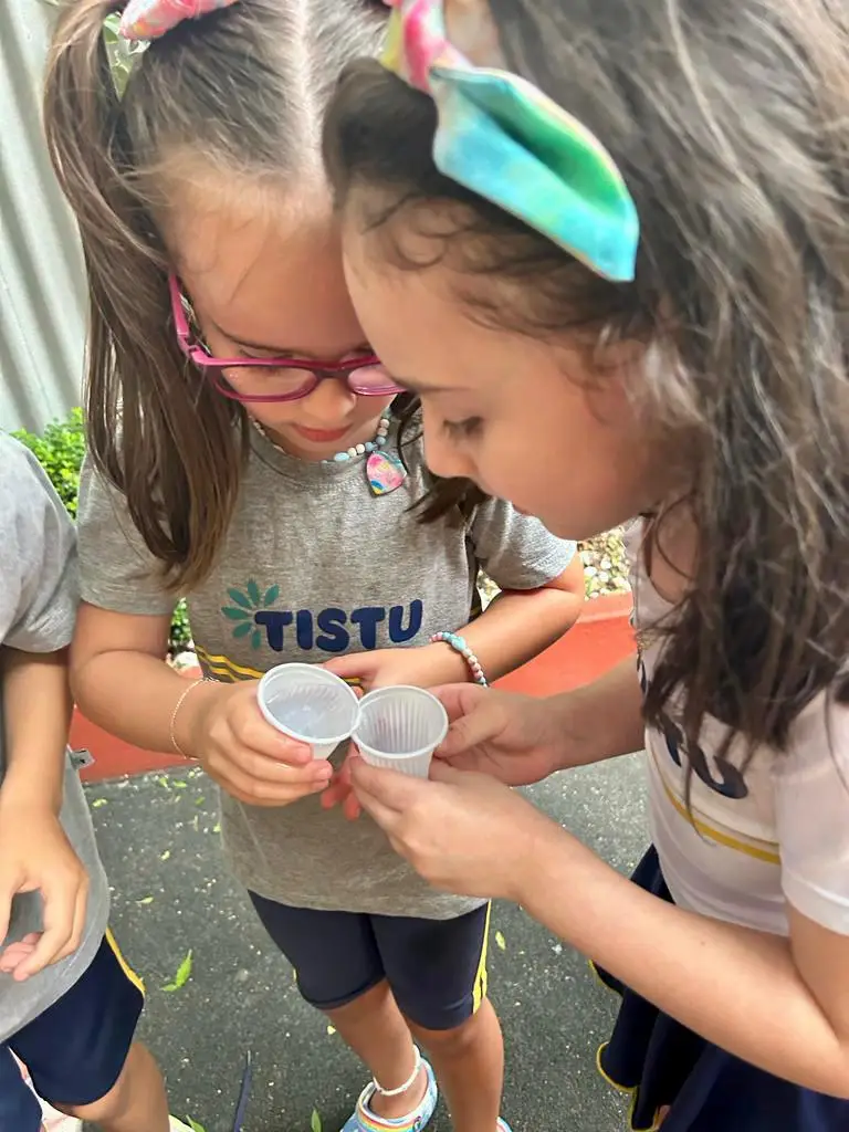 A Importância de Saber Dizer 'Não': Equilibrando Generosidade com Limites Saudáveis - inspiração 2