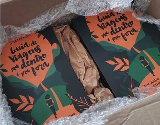 ISBN e Ficha Catalográfica: Documentação Essencial - inspiração 2