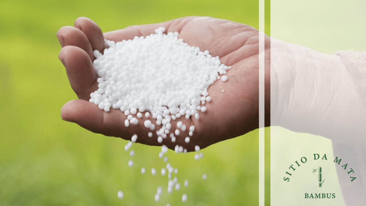 Momento Ideal: Quando Adubar Sua Laranjeira com Ureia - inspiração 2