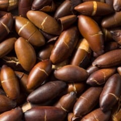 Diluição Correta: Preparando a Solução de Ureia - inspiração 1