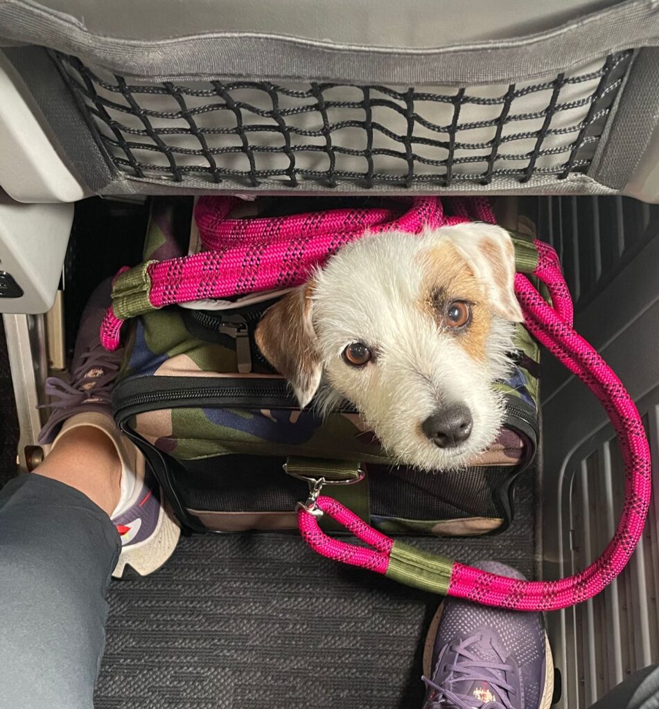 Planejamento Antecipado: O primeiro passo para o sucesso da viagem - inspiração 2