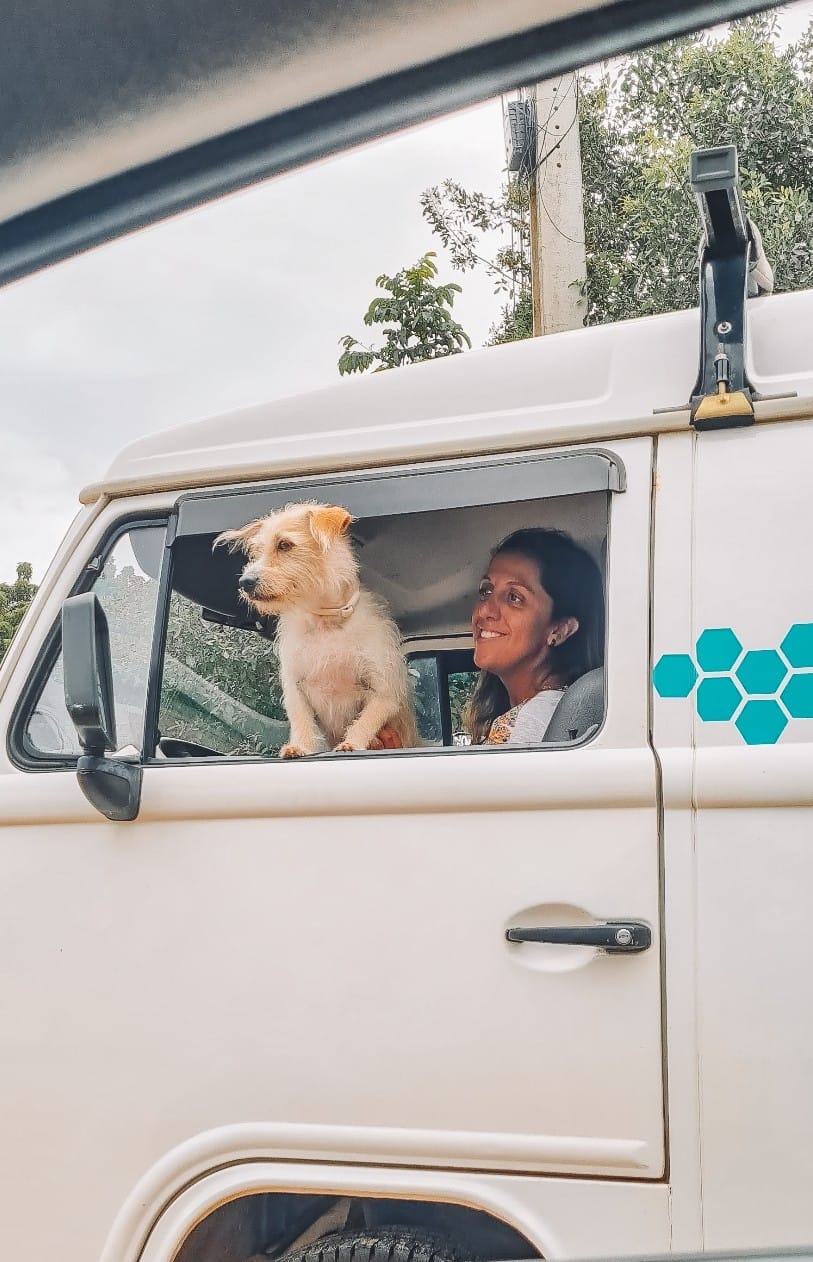 Hospedagem Pet Friendly: Encontrando o lugar perfeito para vocês descansarem - inspiração 2