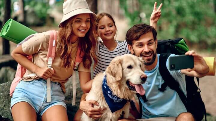 Kit de Primeiros Socorros Pet: Preparado para imprevistos - inspiração 1