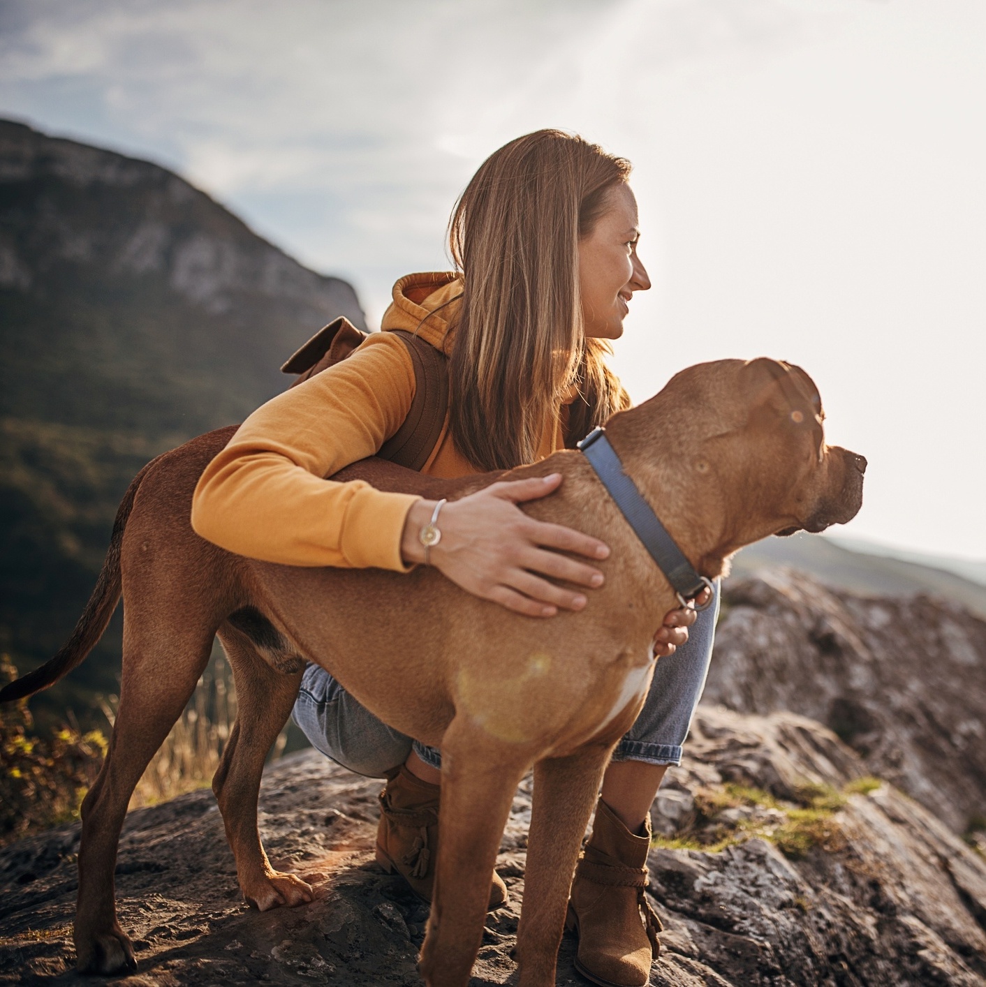 Kit de Primeiros Socorros Pet: Preparado para imprevistos - inspiração 2
