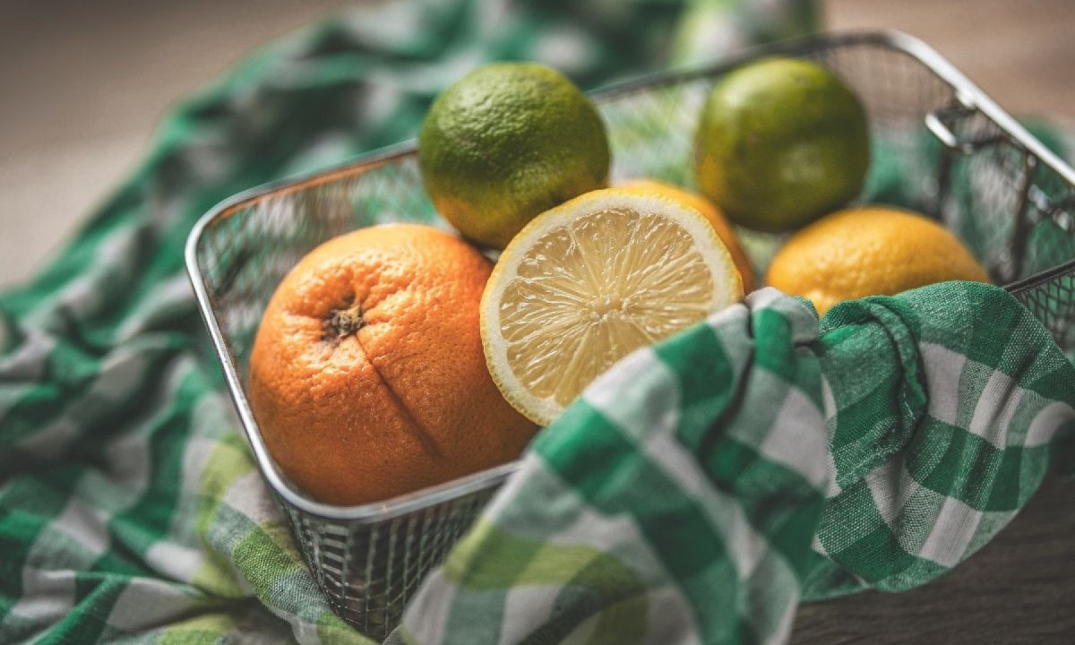 Como escolher as laranjas ideais para conservação externa - inspiração 2