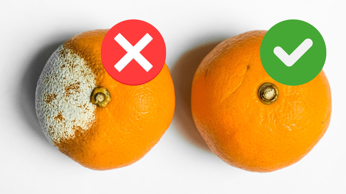 O que evitar ao armazenar laranjas na despensa - inspiração 2