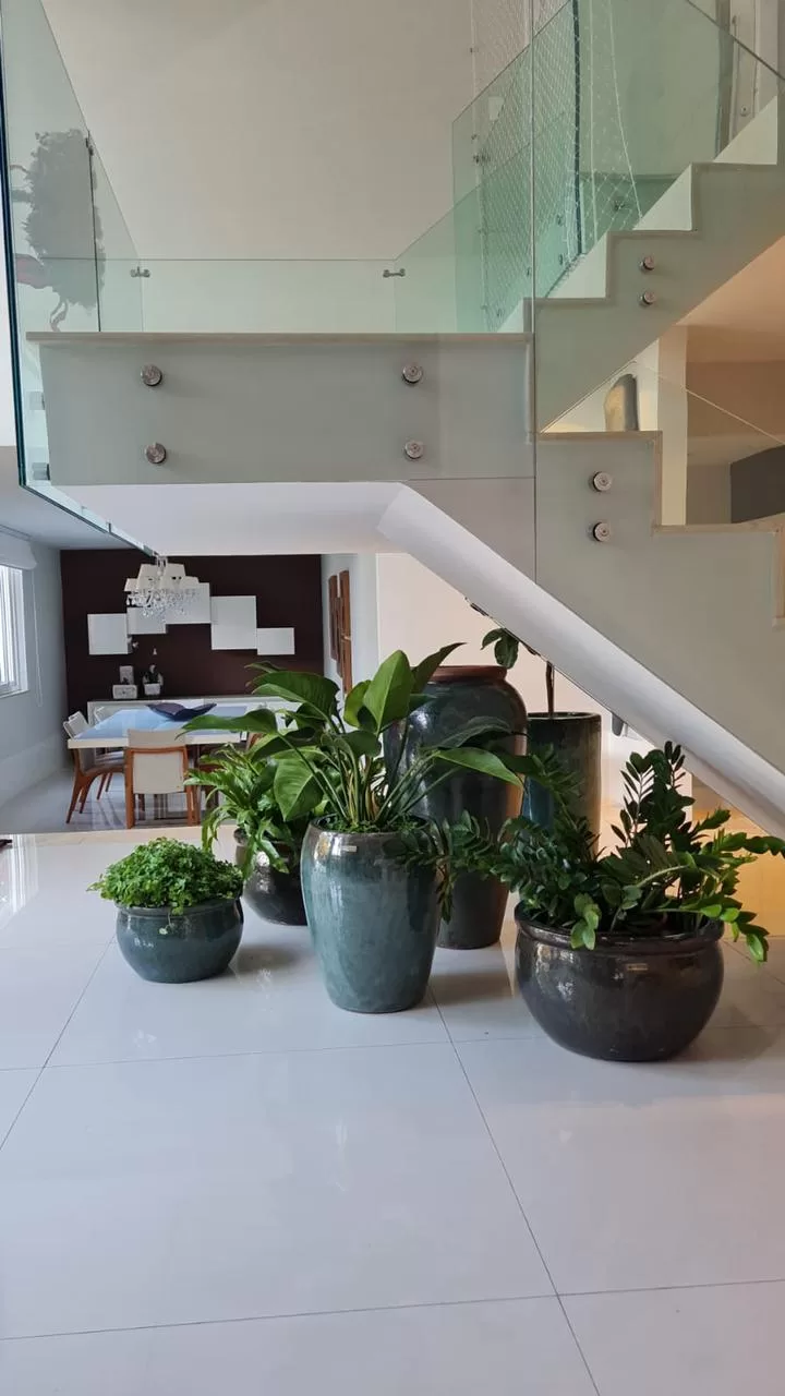 Iluminação que Valoriza: Como a Luz Muda a Percepção dos Vasos - inspiração 1