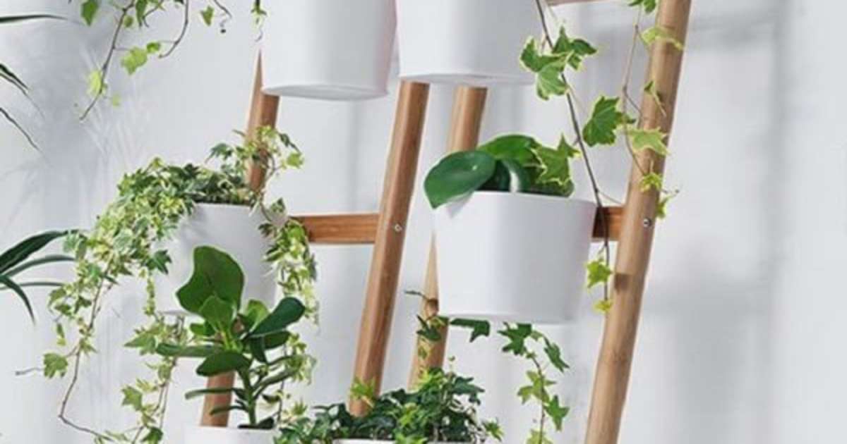 Rústico Aconchegante: Terracota e Madeira para um Clima Caseiro - inspiração 2