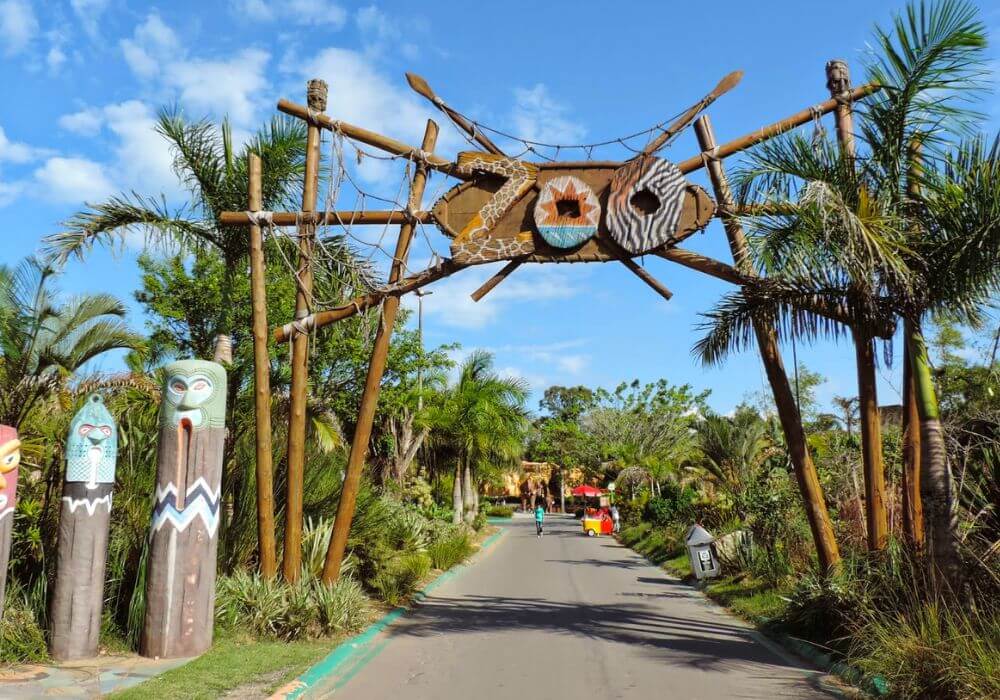 Saúde em primeiro lugar: o que levar e como se precaver em viagens com bebês - inspiração 2