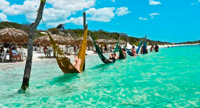 Pantanal (MT/MS): Imersão na Vida Selvagem e Biodiversidade Única - inspiração 1