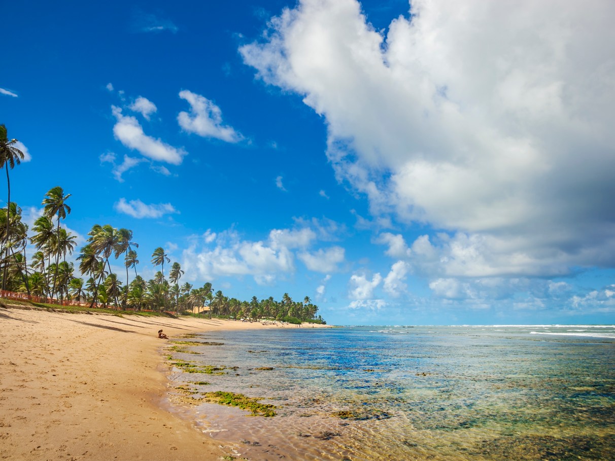 Jalapão, Tocantins: Dunas, Cachoeiras e Fervedouros Exclusivos - inspiração 2