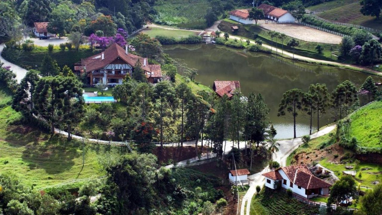 Cerrado: Um Palco para Espécies Únicas - inspiração 1