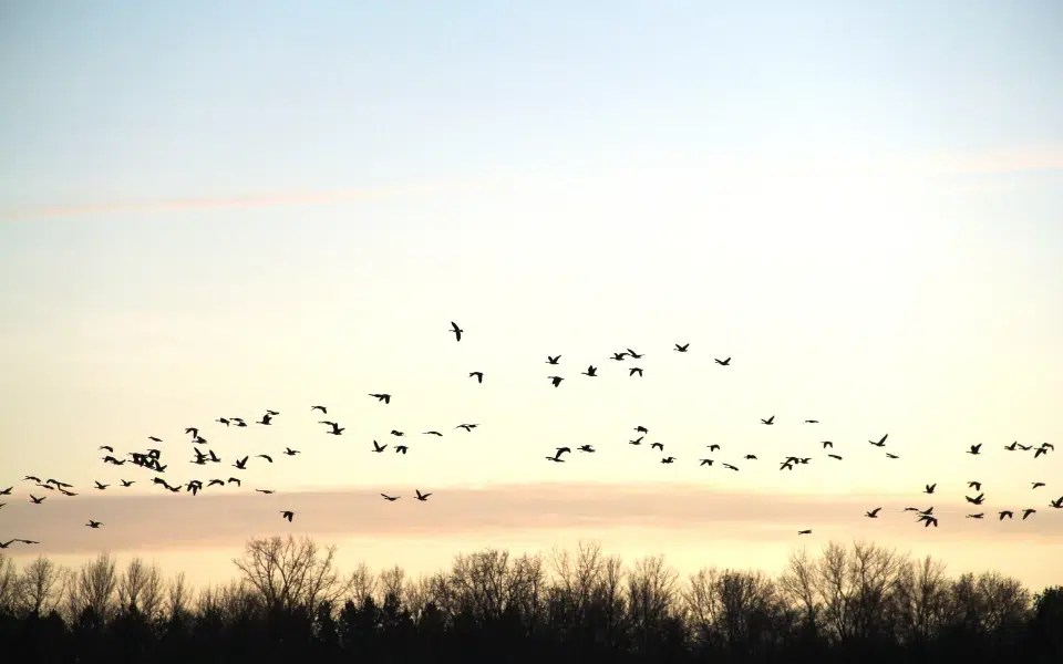 Parque Nacional da Chapada Diamantina: Vistas Aéreas e Habitats Diversificados - inspiração 1