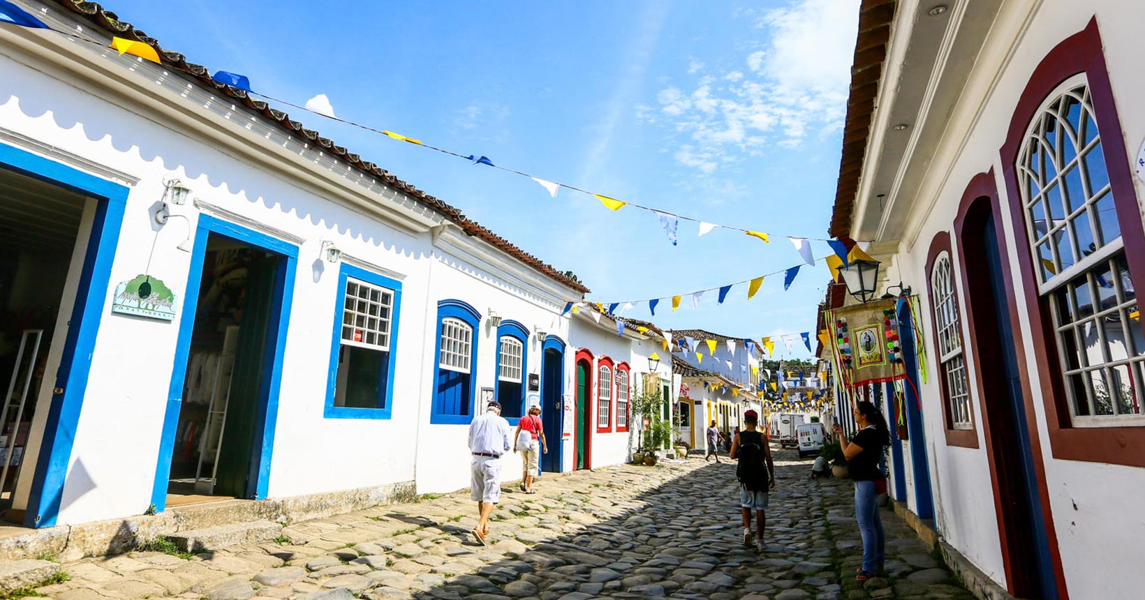 Pantanal (MT/MS): Observação da Fauna em Seu Habitat Natural - inspiração 1