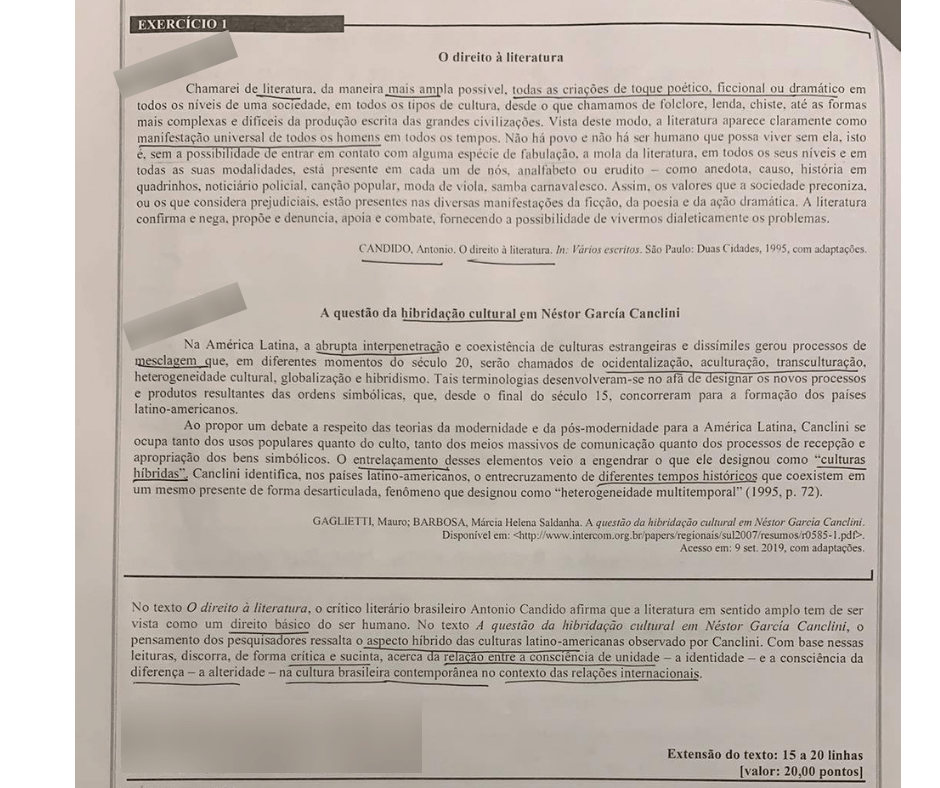 A Língua Estrangeira: Sua Ponte Para o Mundo no CACD - inspiração 1