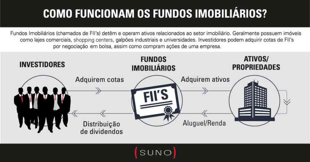 O Que São Dividendos? A Essência dos Lucros Distribuídos - inspiração 1