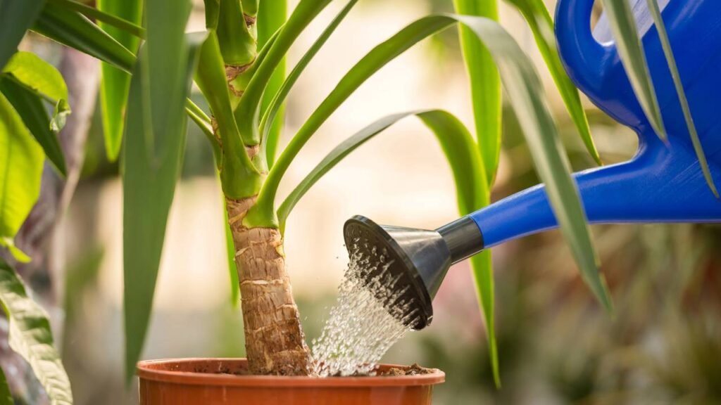 Erros comuns a evitar na montagem da drenagem para laranjeiras - inspiração 1