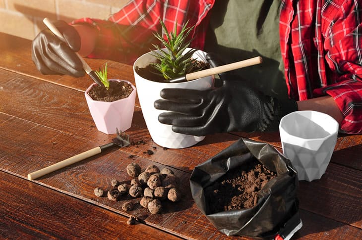 Camada de drenagem: o que colocar e como fazer - inspiração 2