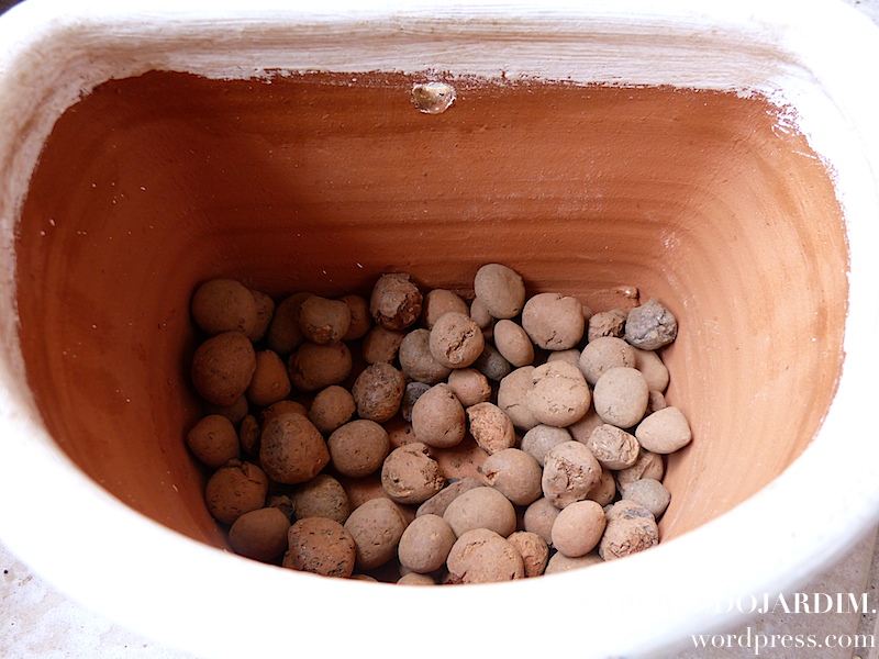 Como identificar se sua laranjeira está sofrendo com má drenagem - inspiração 1