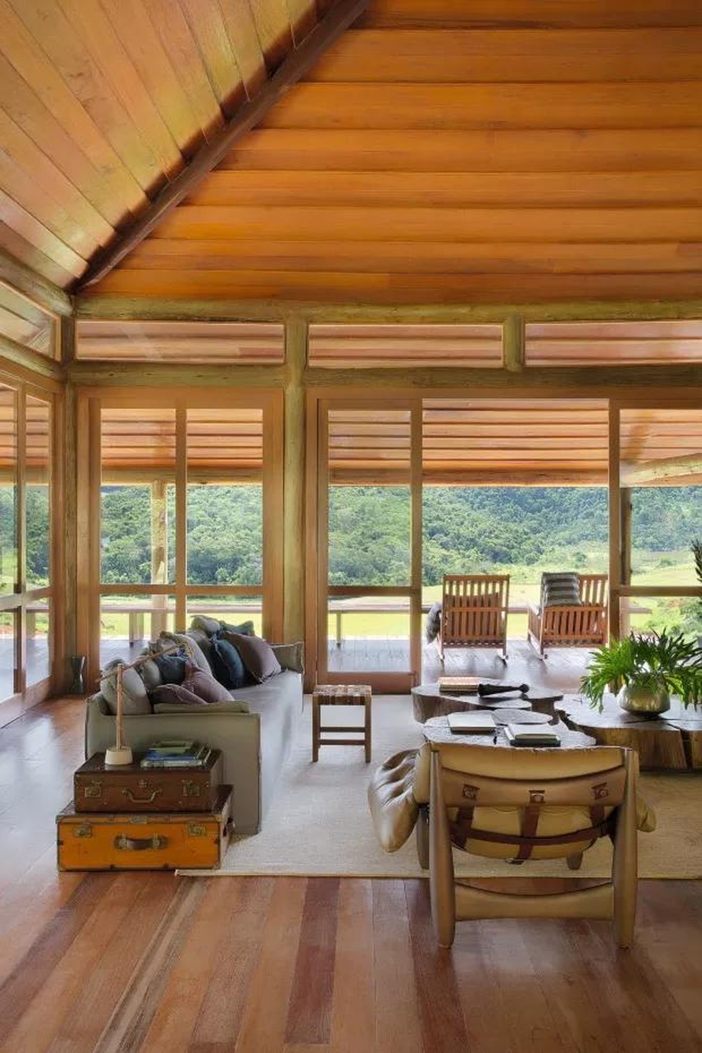 Cedrinho vs. Outras Madeiras: O Comparativo Que Você Precisa Ver - inspiração 1