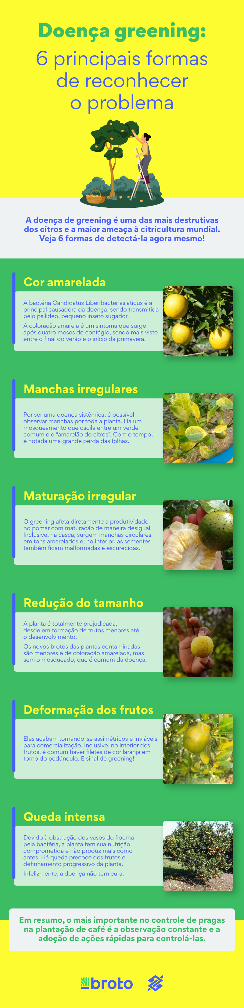 Folhas Amareladas com Padrões Assimétricos - inspiração 1