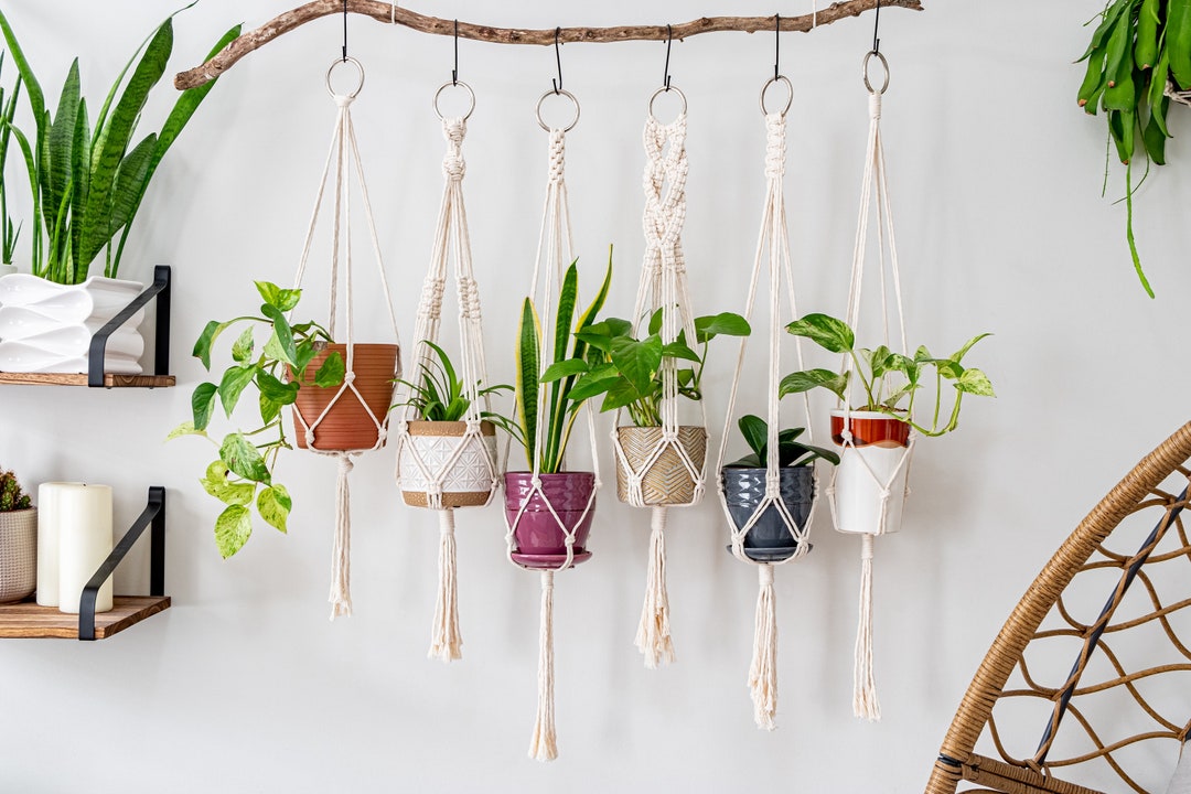 Materiais Essenciais: Escolhendo os Fios Perfeitos para seu Suporte - inspiração 2