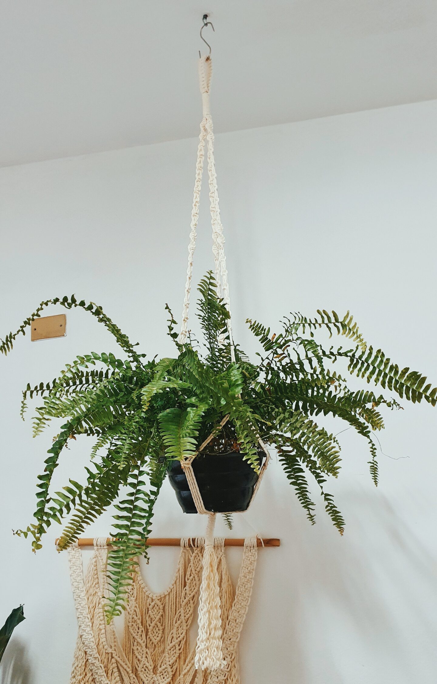 Medindo e Cortando os Fios: A Base para um Resultado Impecável - inspiração 2