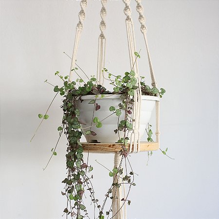 Montagem do Suporte: Passo a Passo para Dar Forma à sua Criação - inspiração 1