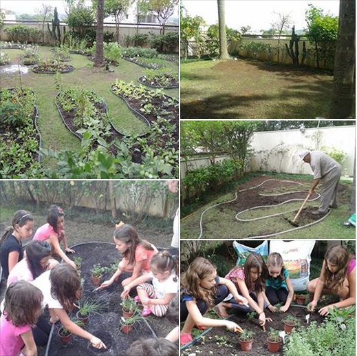 Escolhendo as Plantas Certas para os Pequenos Jardineiros - inspiração 1