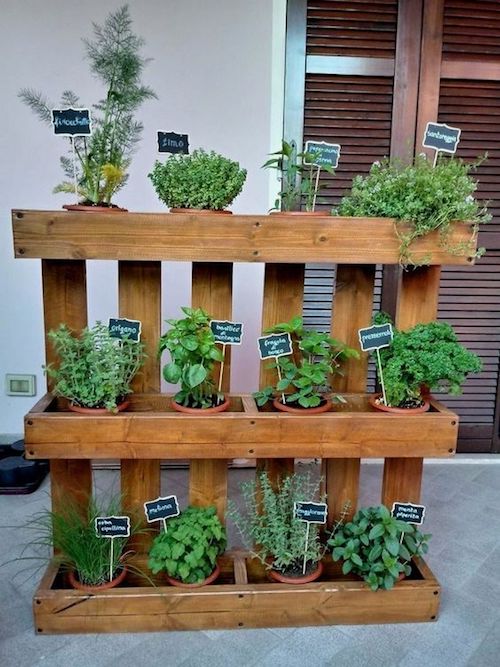 Escolhendo as Plantas Certas para os Pequenos Jardineiros - inspiração 2