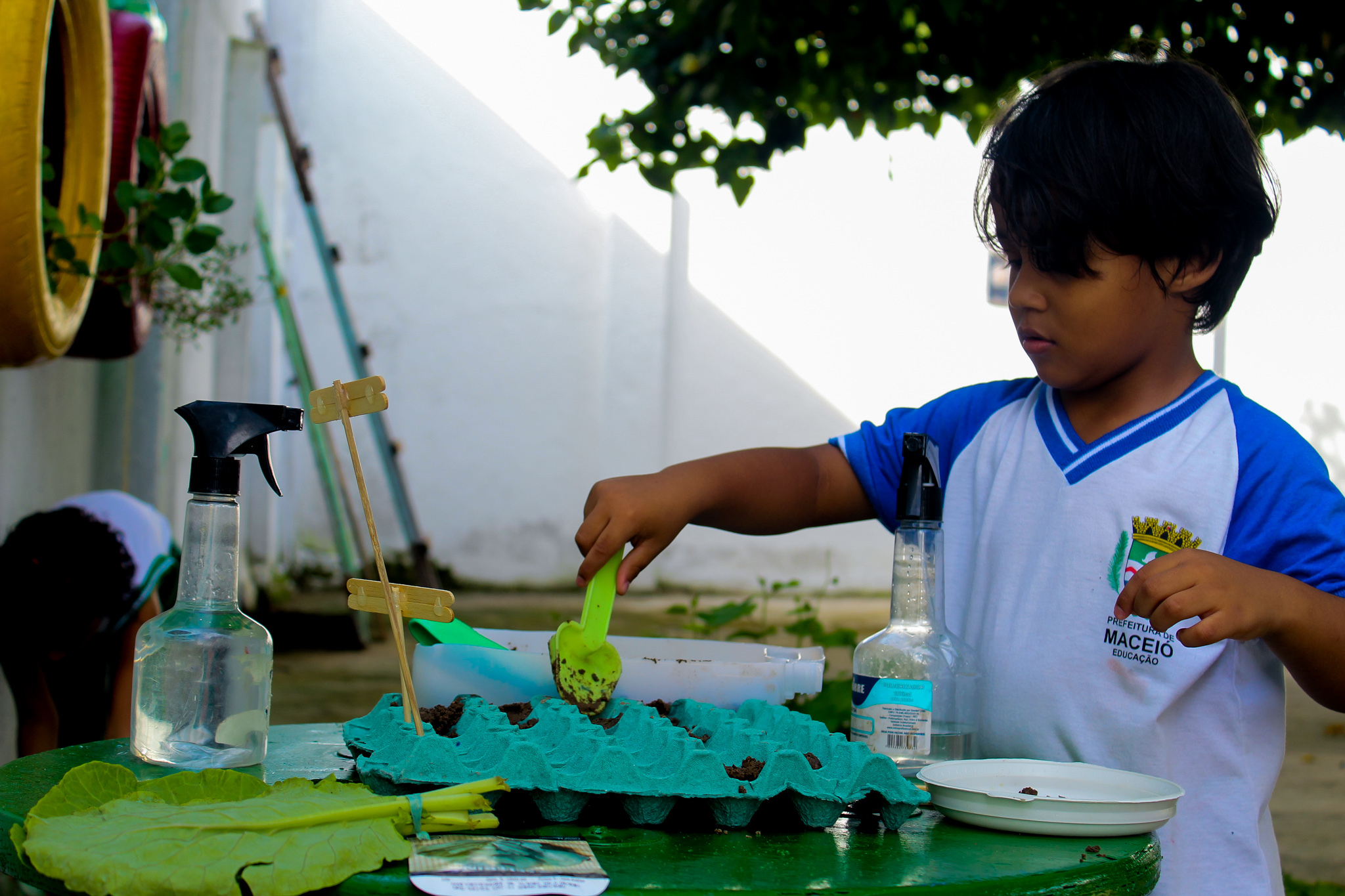 Preparando o Solo de Forma Segura e Didática - inspiração 1