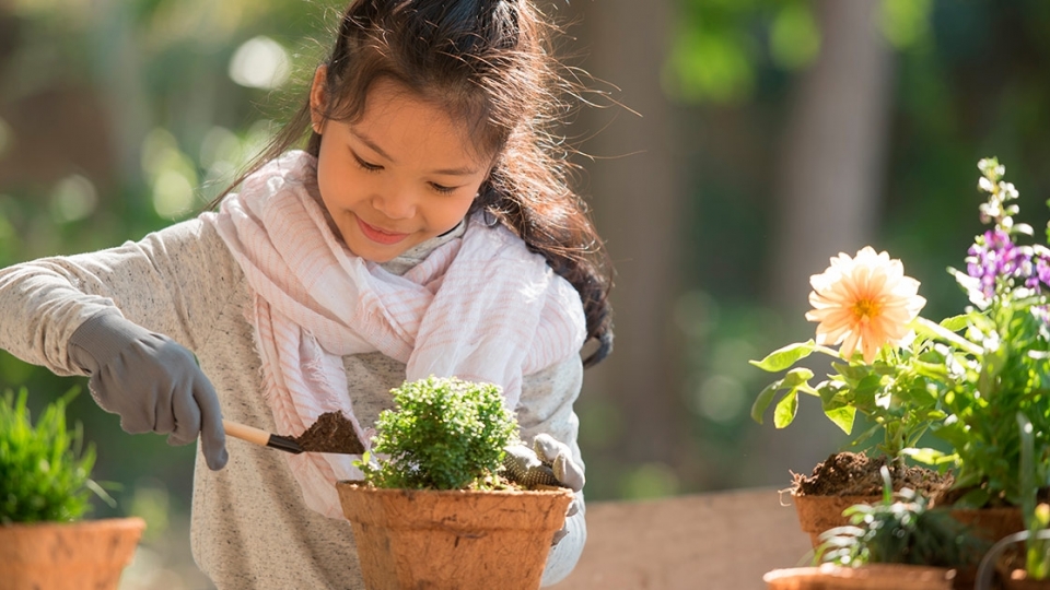 O Ritual do Plantio: Ensinando o Ciclo da Vida - inspiração 1